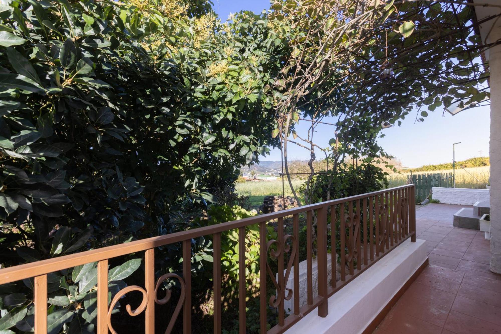 Lightbooking Casa De Campo Ortigal Tenerife La Esperanza  Eksteriør bilde